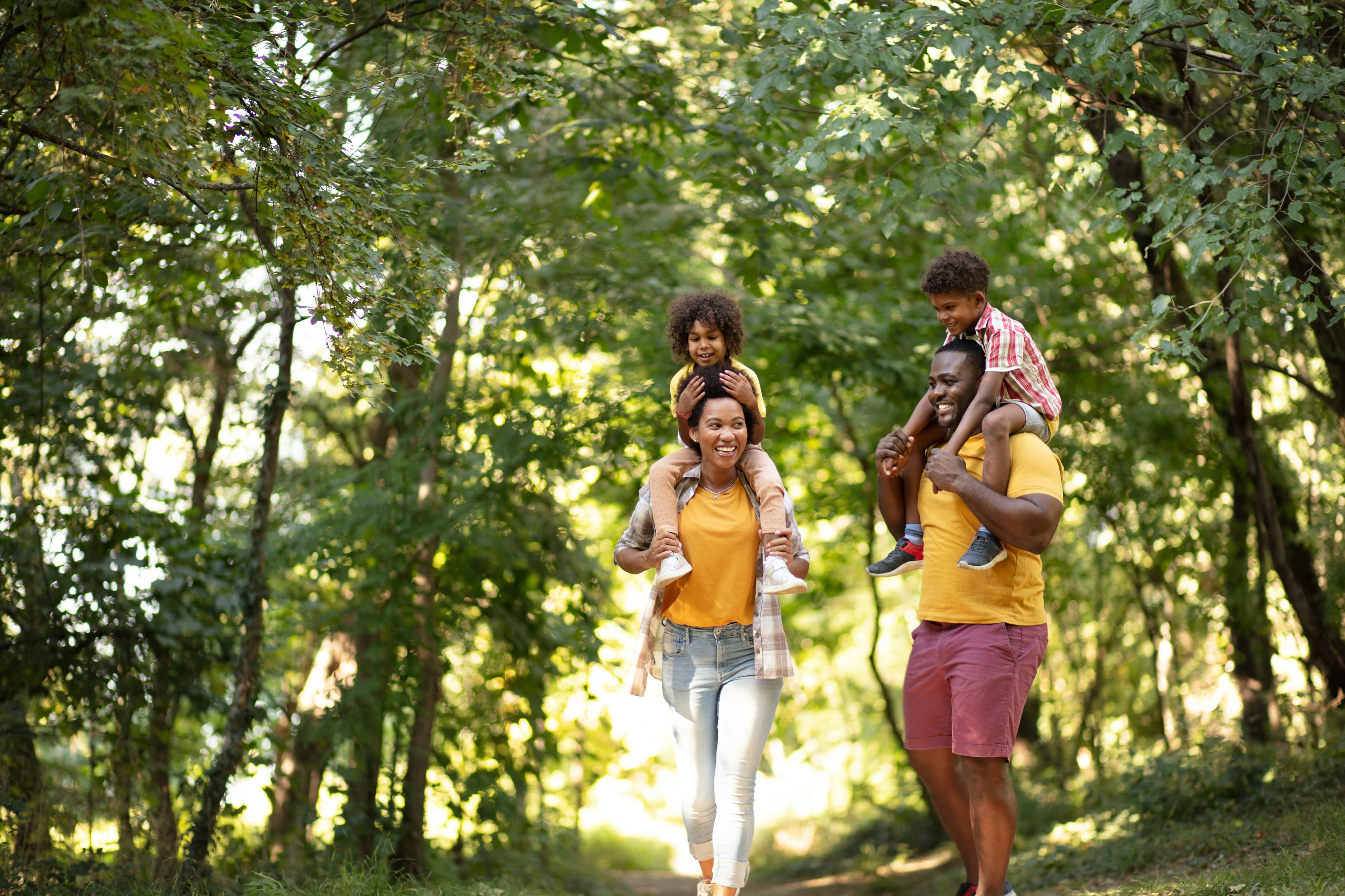 Family walking together on a forest path